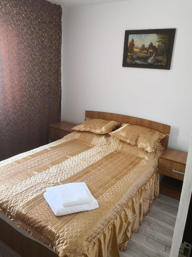 Apartament Cu Doua Camere Târgu Jiu Екстериор снимка